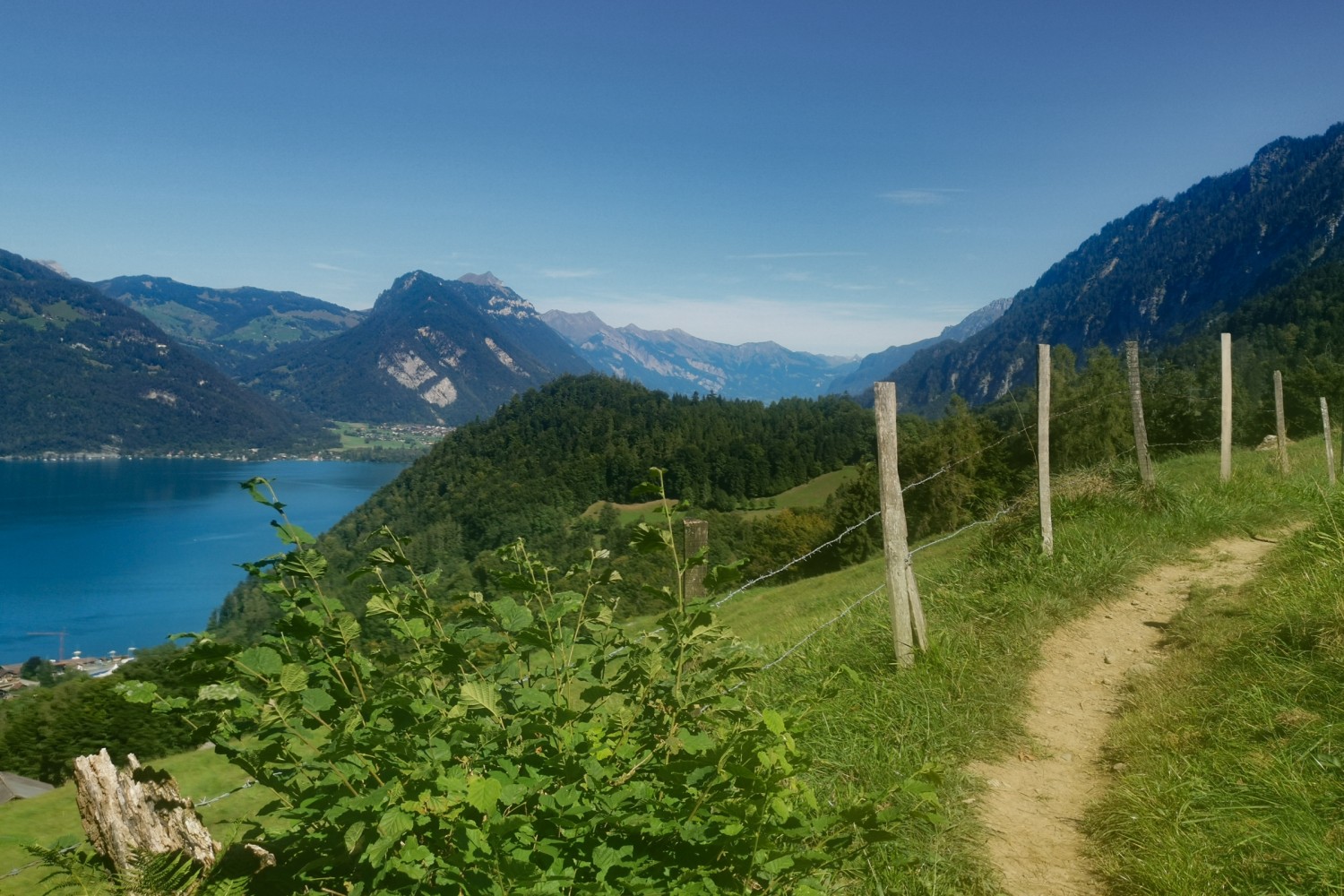 Die Wanderung verläuft abwechslungsreich über breitere Alpstrassen und schmale Pfade. Bild: Evelyne Zaugg
