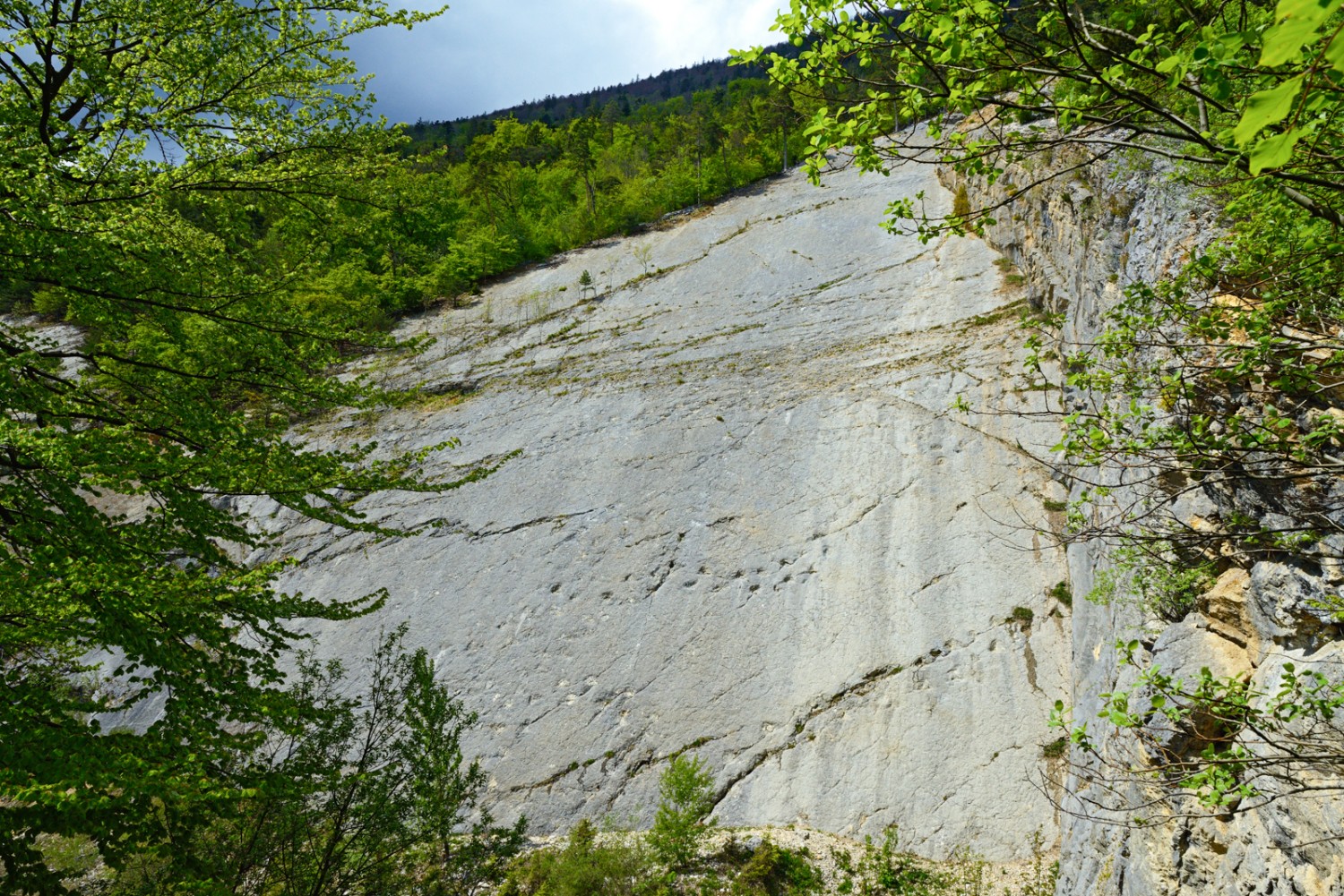 Im ehemaligen Steinbruch von Lommiswil sind die Spuren von Sauriern verewigt. Bild: natur-welten.ch