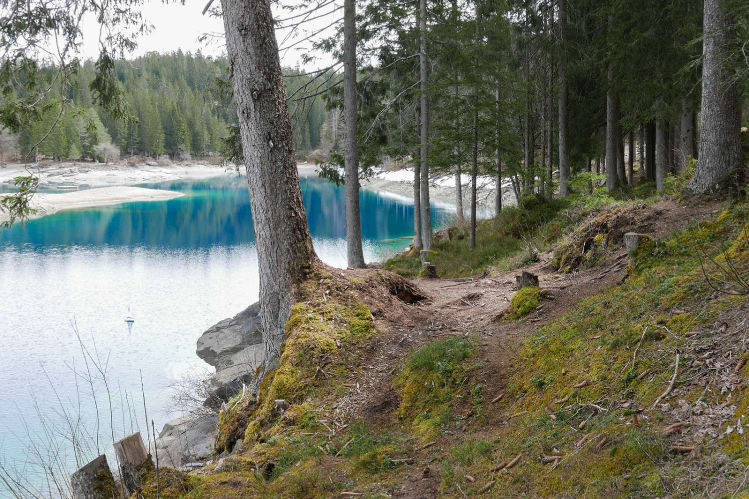 Tiefgrüne Wälder und türkisblaue Bergseen: Kontrastreiche Farben prägen die Wanderung. Bilder: Susanne Frauenfelder