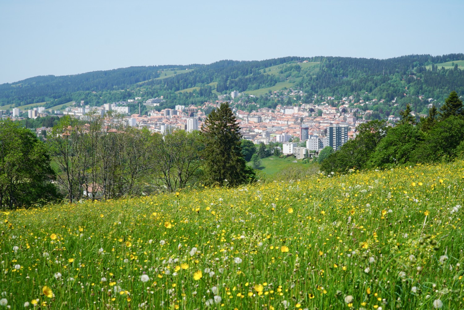 Blick auf La Chaux-de-Fonds, das Wanderziel. Bild: Mia Hofmann