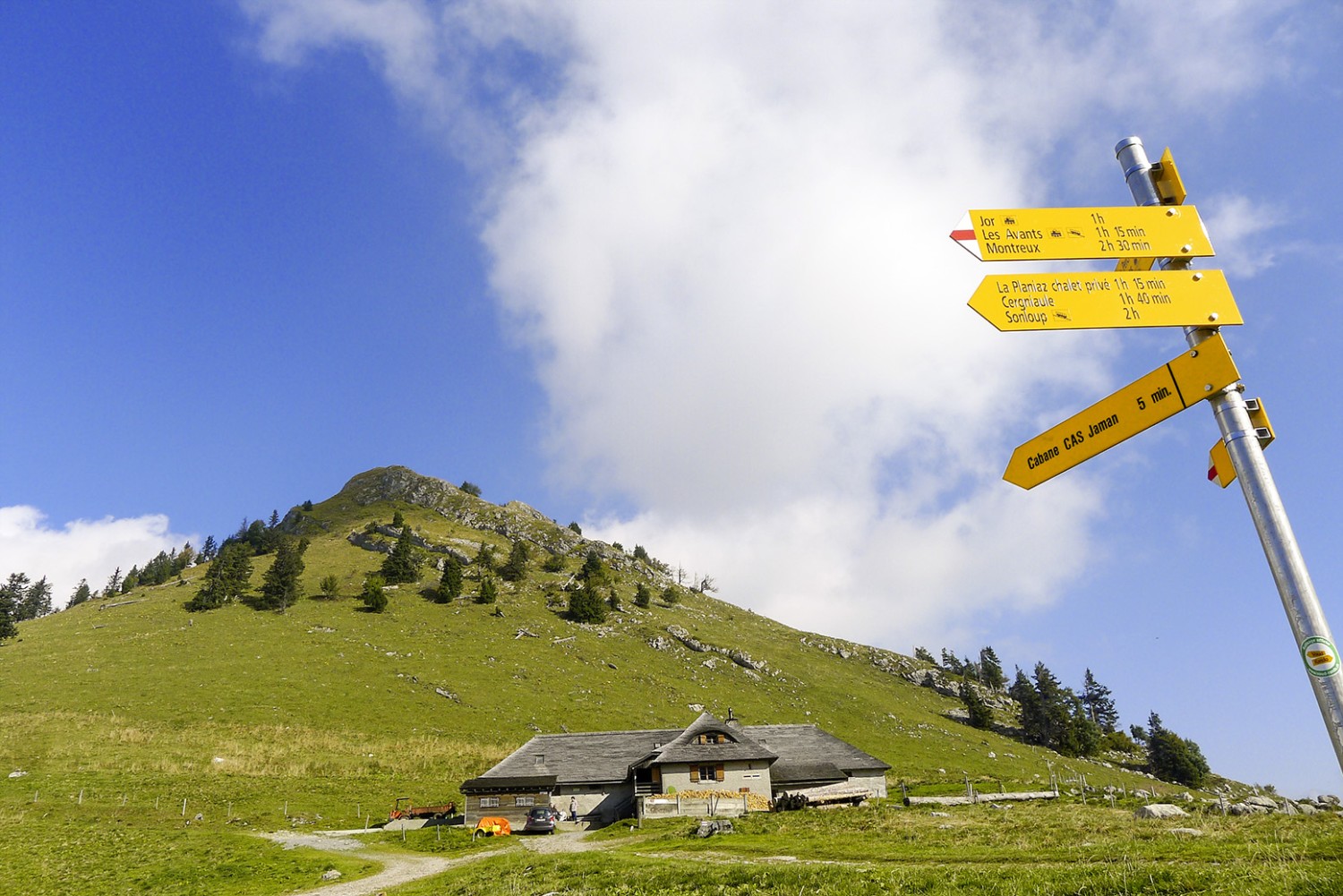 Den Käse da geniessen, wo er herkommt: Alp auf dem Col de Jaman. Bilder: Mia Hofmann