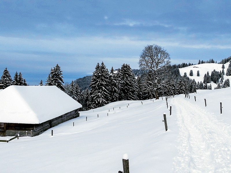 Die Alphütte Petites Preises am Weg nach Les Guedères. Bild: Andreas Staeger