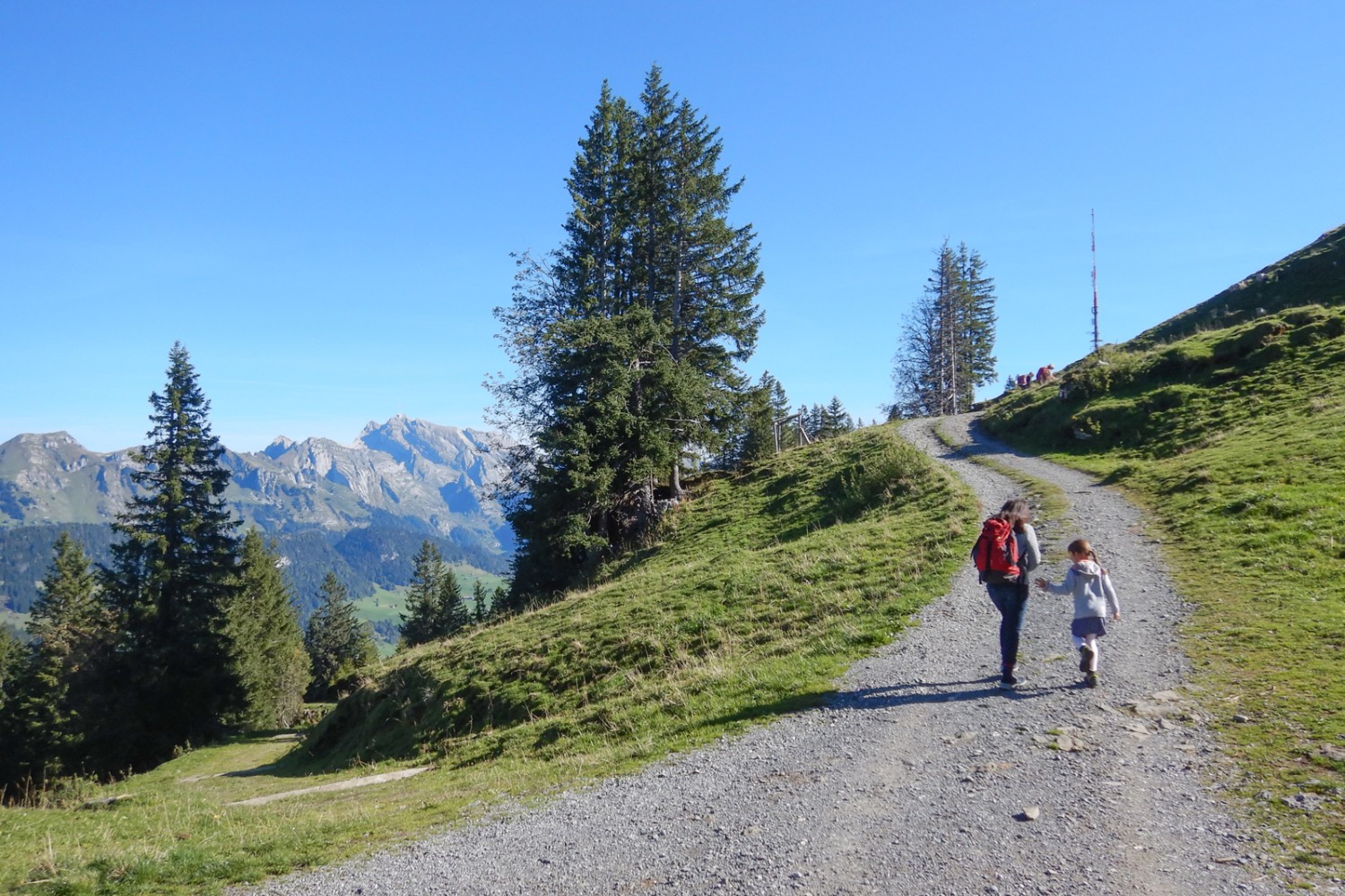 Peu après le départ de la station supérieure, la jeune alpiniste donne le rythme. Photo: Susanne Frauenfelder