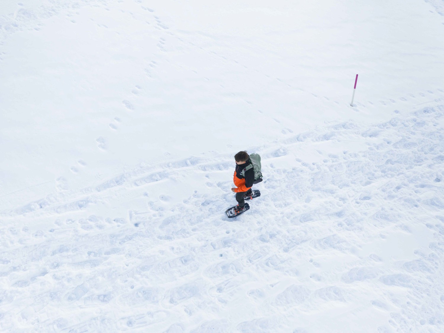 Weiter geht’s nun mit Schneeschuhen hinauf zur Hochalp. Bild: Jon Guler