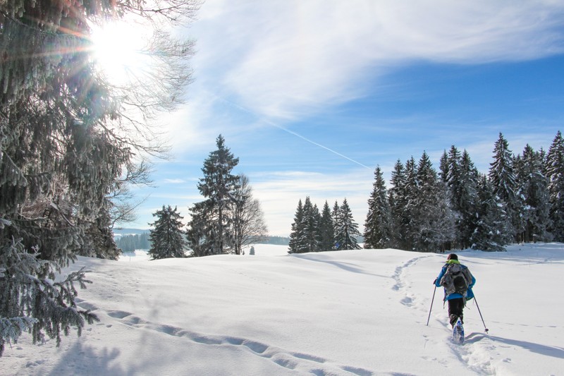 Mit Schneeschuhen über Juraweiden. Bild: Alexandra Blatter