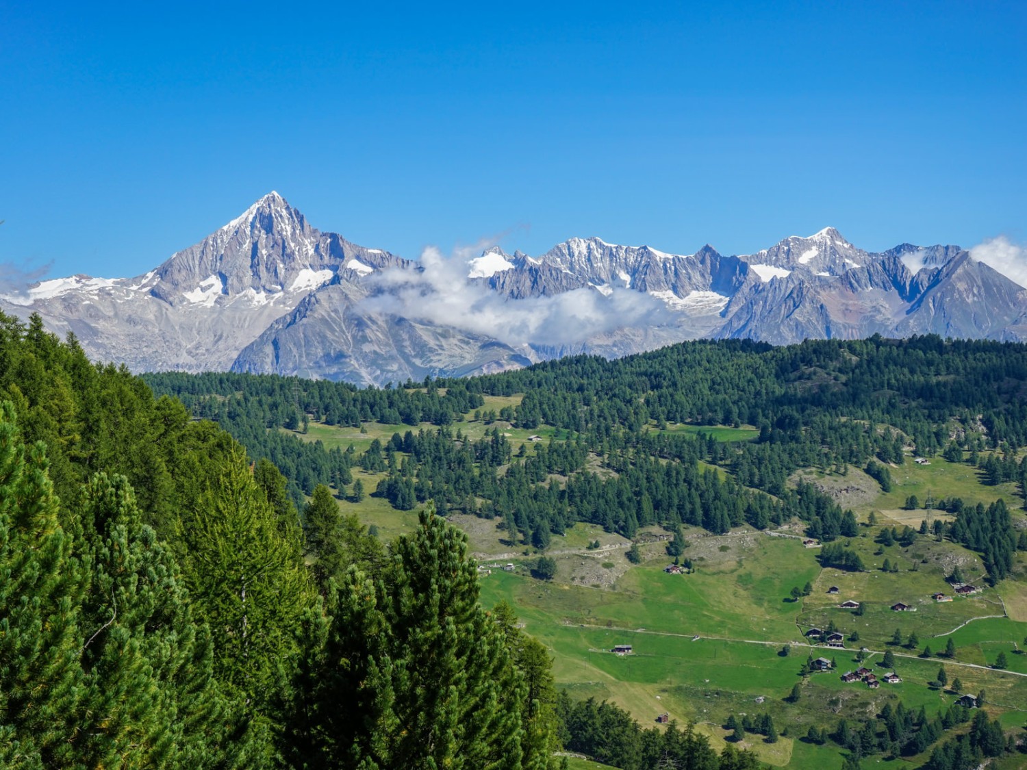 Ein Blick zurück über die Moosalp zum Bietschhorn. Bild: Fredy Joss