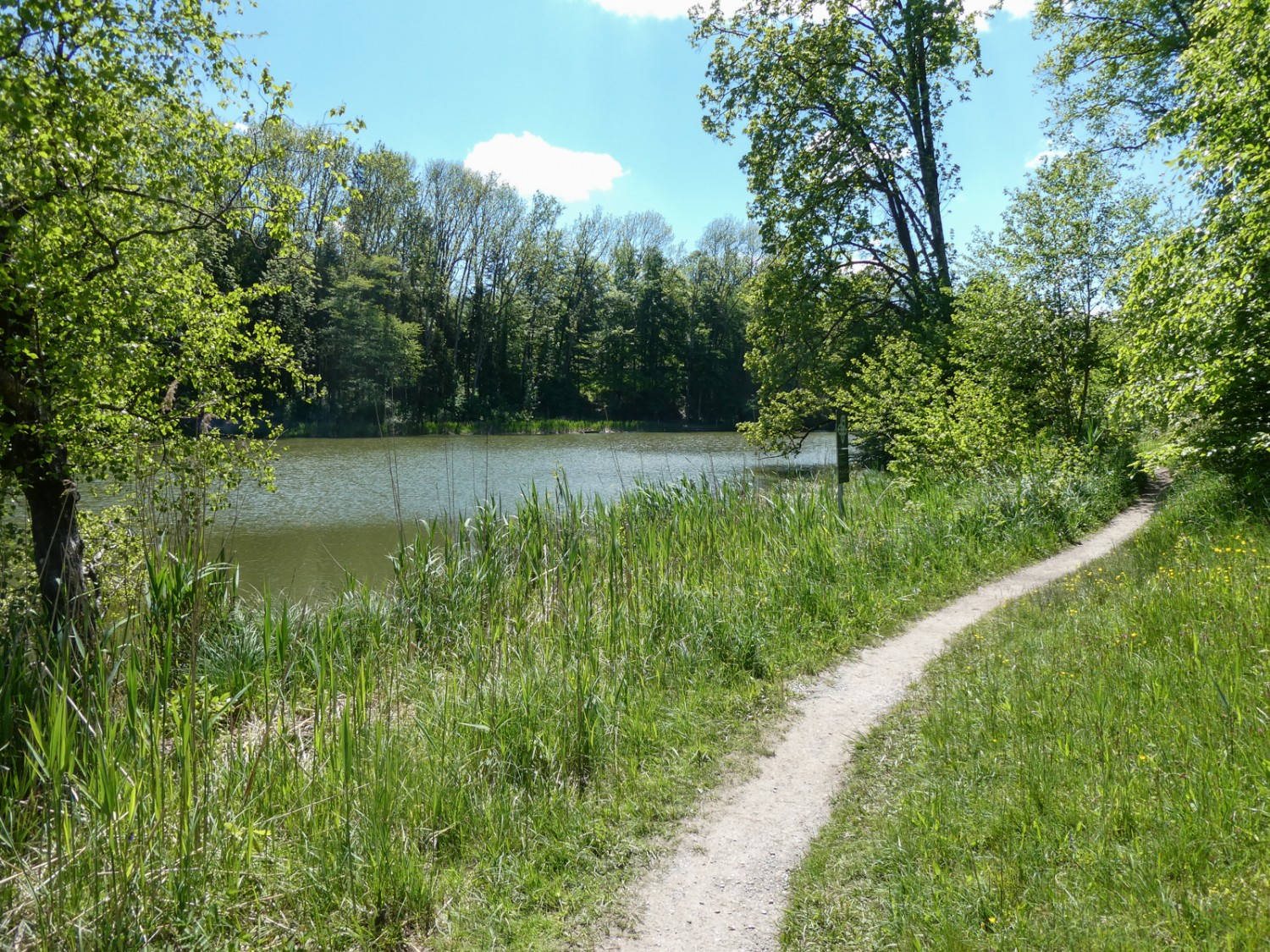 Lauschiges Wandern entlang der fünf Weiher von Hauptwil. Bild: Rémy Kappeler