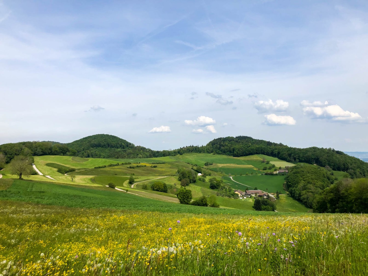 Der Jurapark Aargau besticht mit seiner lieblichen Landschaft. Bild: Vera In-Albon