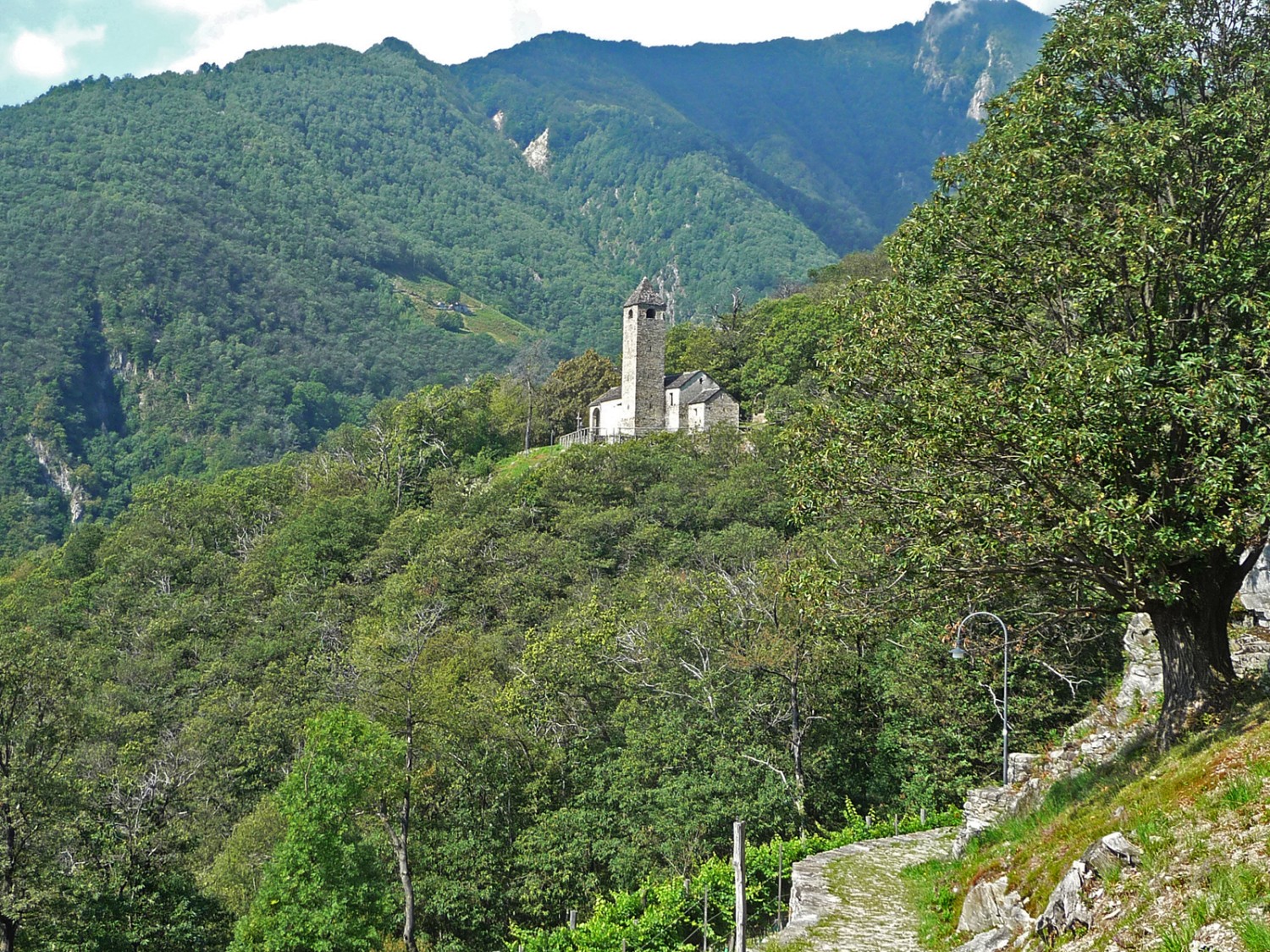 Blick zur Kirche San Bernardo
Bilder: Werner Forrer