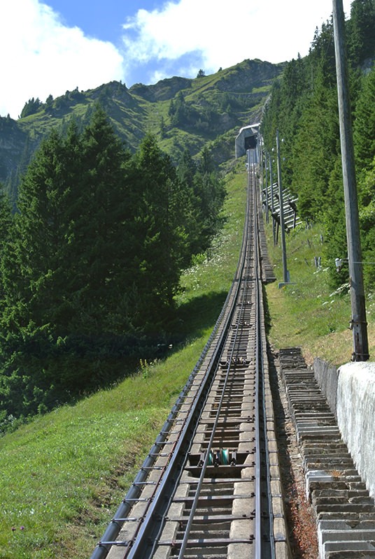 Die längste Treppe der Welt verläuft immer schön dem Bahntrassee entlang. Foto: Rémy Kappeler