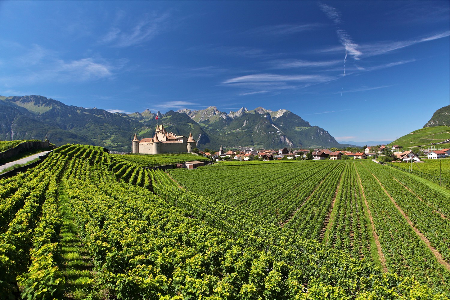 Weinbau so weit das Auge reicht, und mittendrin, da thront das Schloss von Aigle. Bild: José Crespo