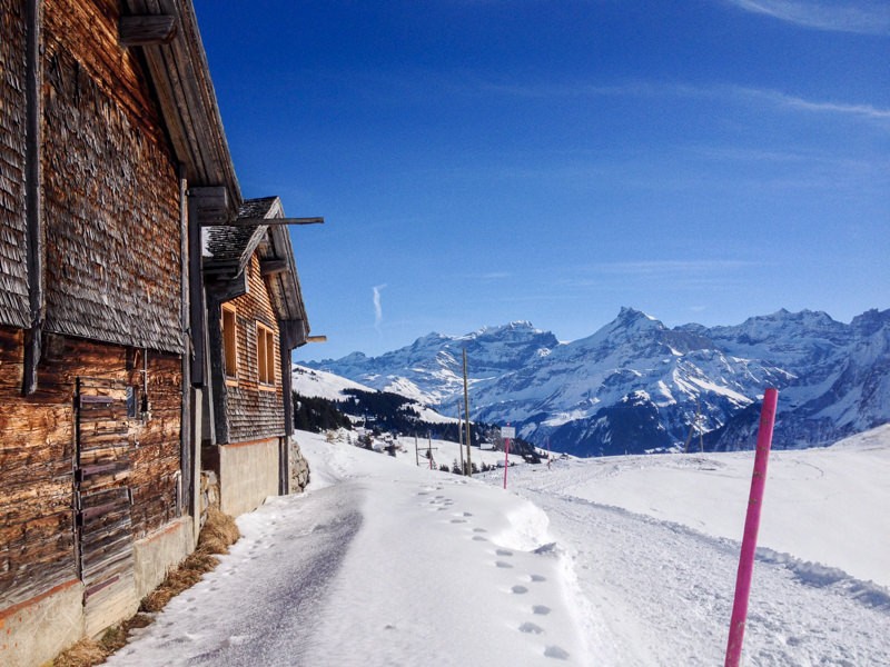 Die Aussicht in die Urner Alpen ist grandios. Bild: Claudia Peter