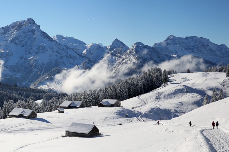 Die Glarner Alpenkette prägt das prachtvolle Panorama der Alp Altschen. Bild: Andreas Staeger