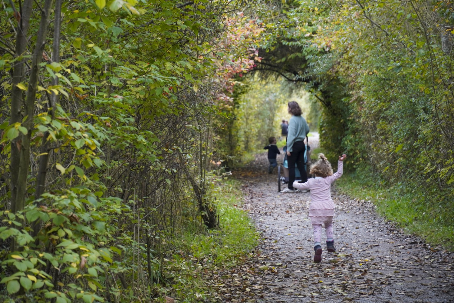 Durch das Naturschutzgebiet Selhofenzopfen verläuft der Weg auf einem Damm zwischen Giesse und Aare. Bild: Mia Hofmann