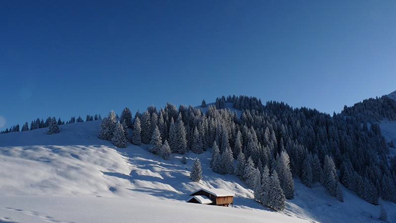 Zwischen Stelsersee und Sattel.