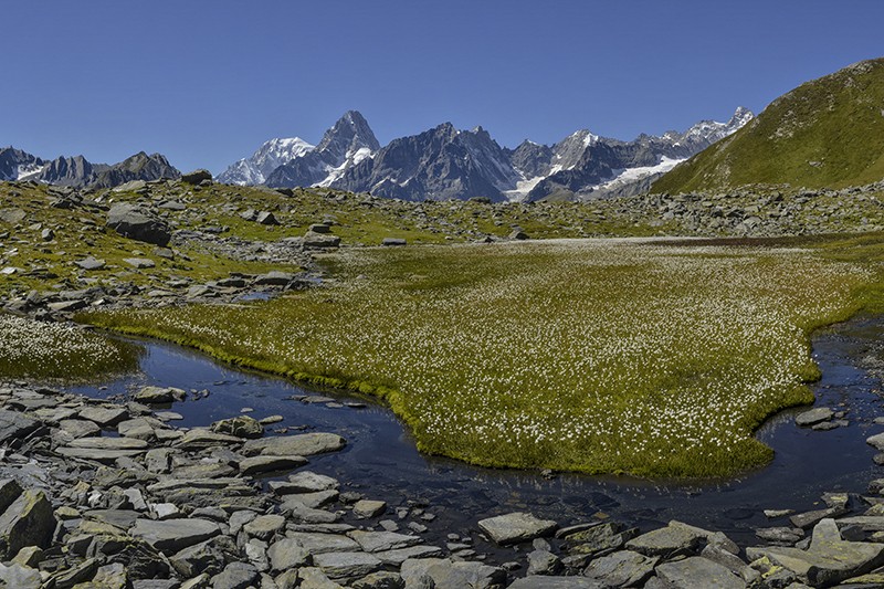 Die Lacs de Fenêtre zeigen das raue, ruhige Val Ferret. Sie sind am besten über den Grossen St. Bernhard zu erreichen. Bild: Daniel Fuchs
