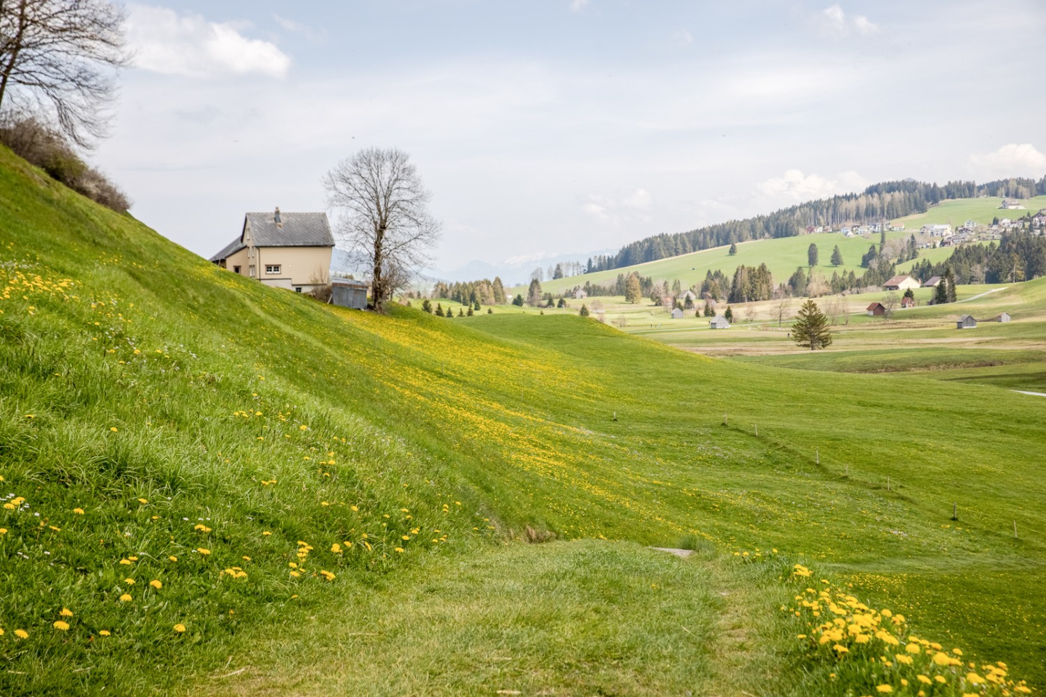 Unterwegs nahe Gontenbad mit Blick nach Kau. Bild: appenzell.ch