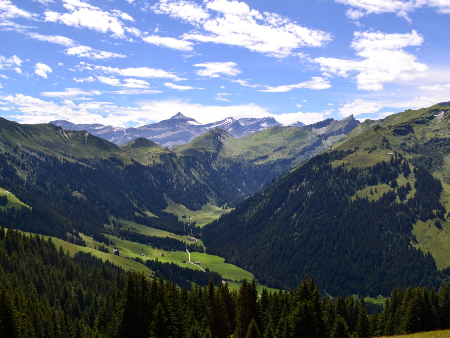 Blick Richtung Süden zu den Waadtländer Alpen