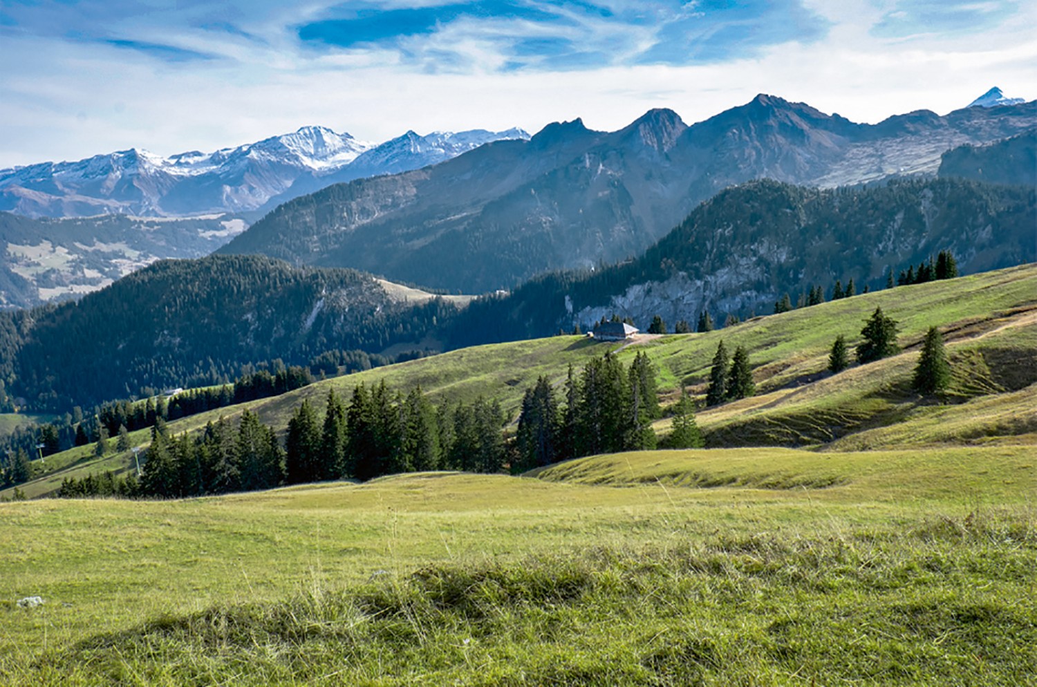 Wanderung durch das grösste Naturschutzgebiet der Westschweiz. Bilder: Sybille Schär