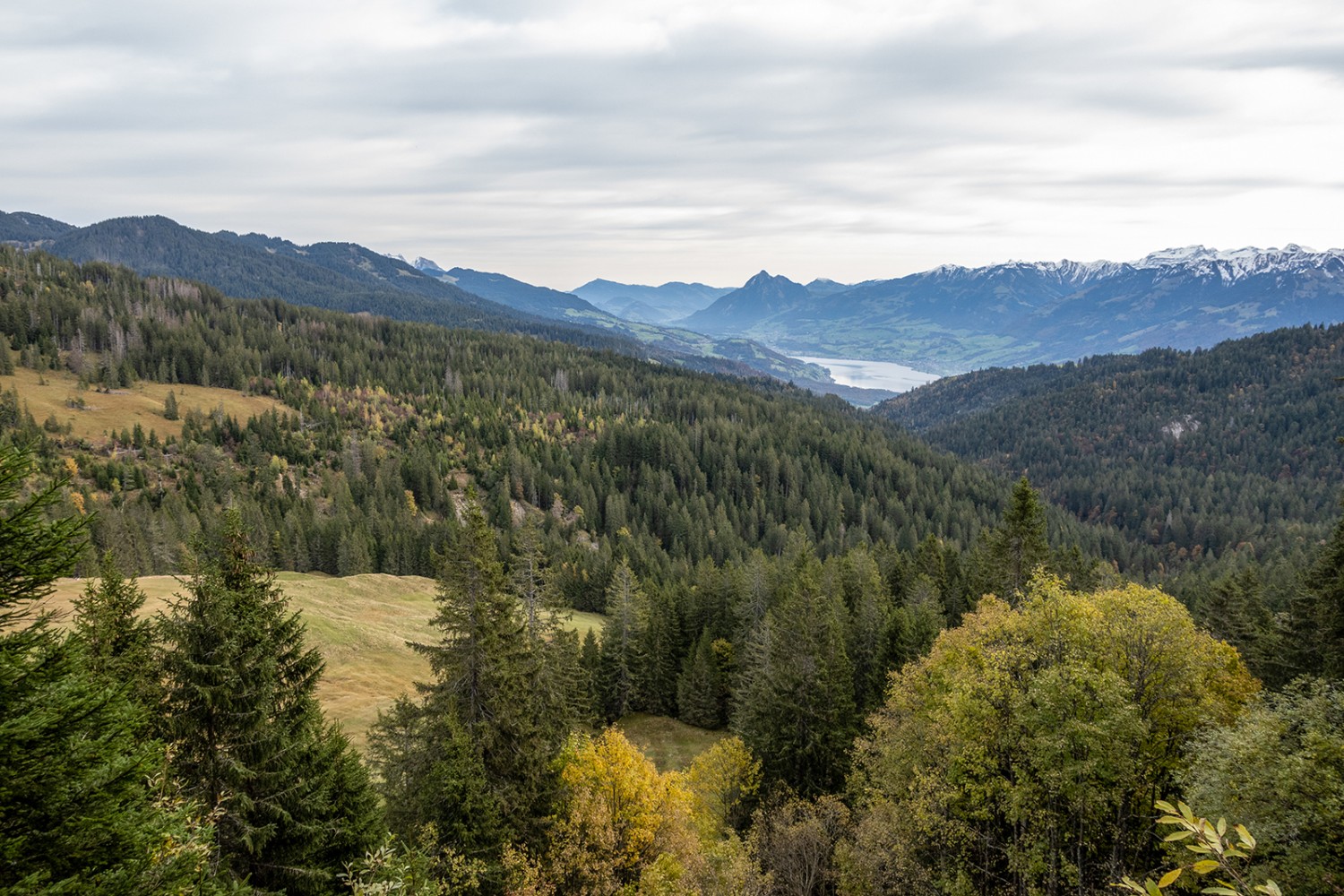 Weitblick aus der Moorlandschaft zum Sarnersee und zu dem spitzen Stanserhorn dahinter.