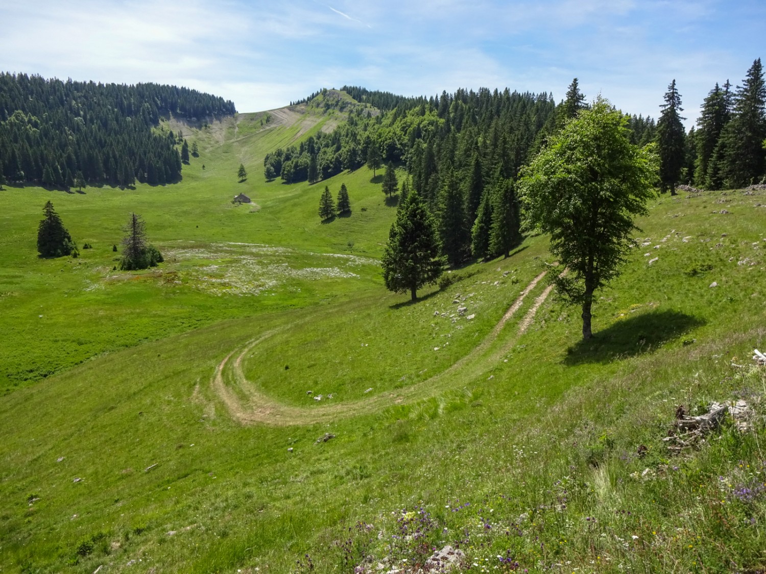 Gipfelabenteuer im Waadtländer Jura