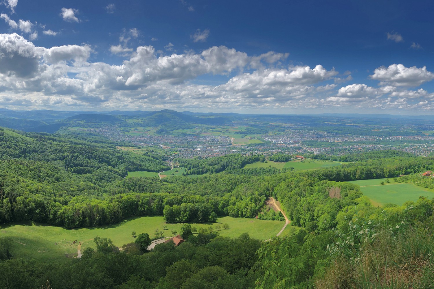 Blick von der Schartenflue über Dornach Richtung Frankreich. Bilder: Thomas Gloor