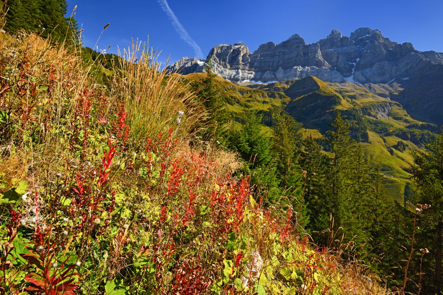 Der Blick reicht vom Val d’Illiez bis ins Rhonetal. Bild: natur-welten.ch