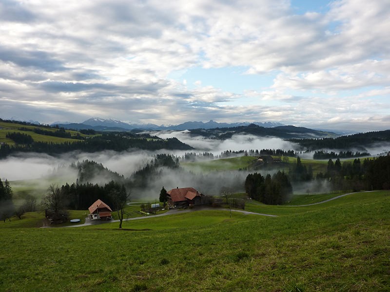 Blick vom Chapf über mystische Emmentaler Hügellandschaft.
Bild: Evelyne Zaugg