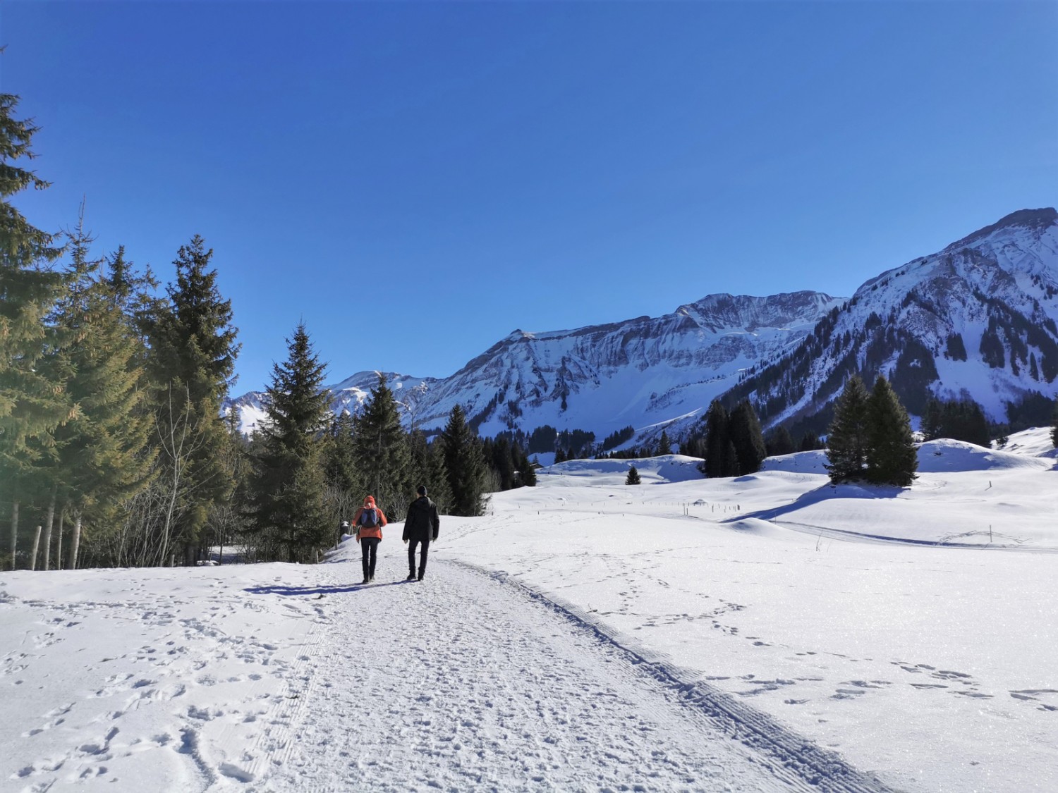 Flüehüttenboden. Photo: Andreas Staeger