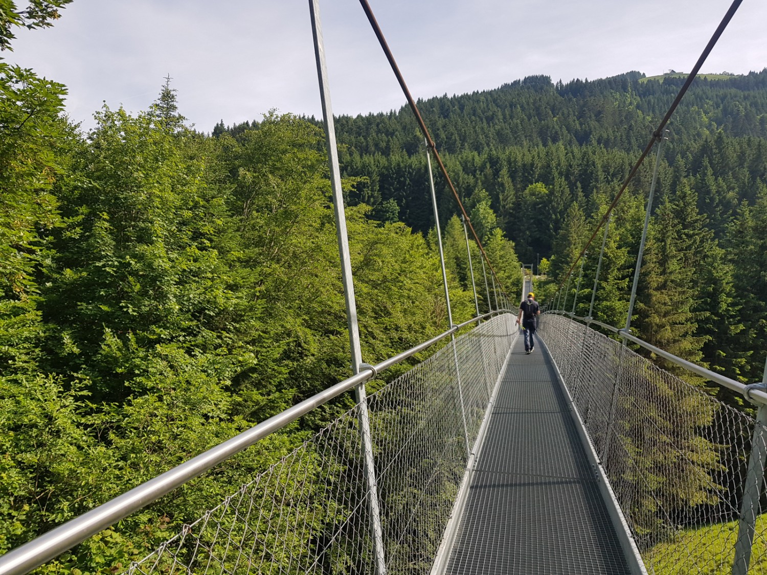 Ein letzter Höhepunkt – oder eine kleine Mutprobe – zum Abschluss der Wanderung: die Hängebrücke über den Avançon. Bild: Patricia Michaud