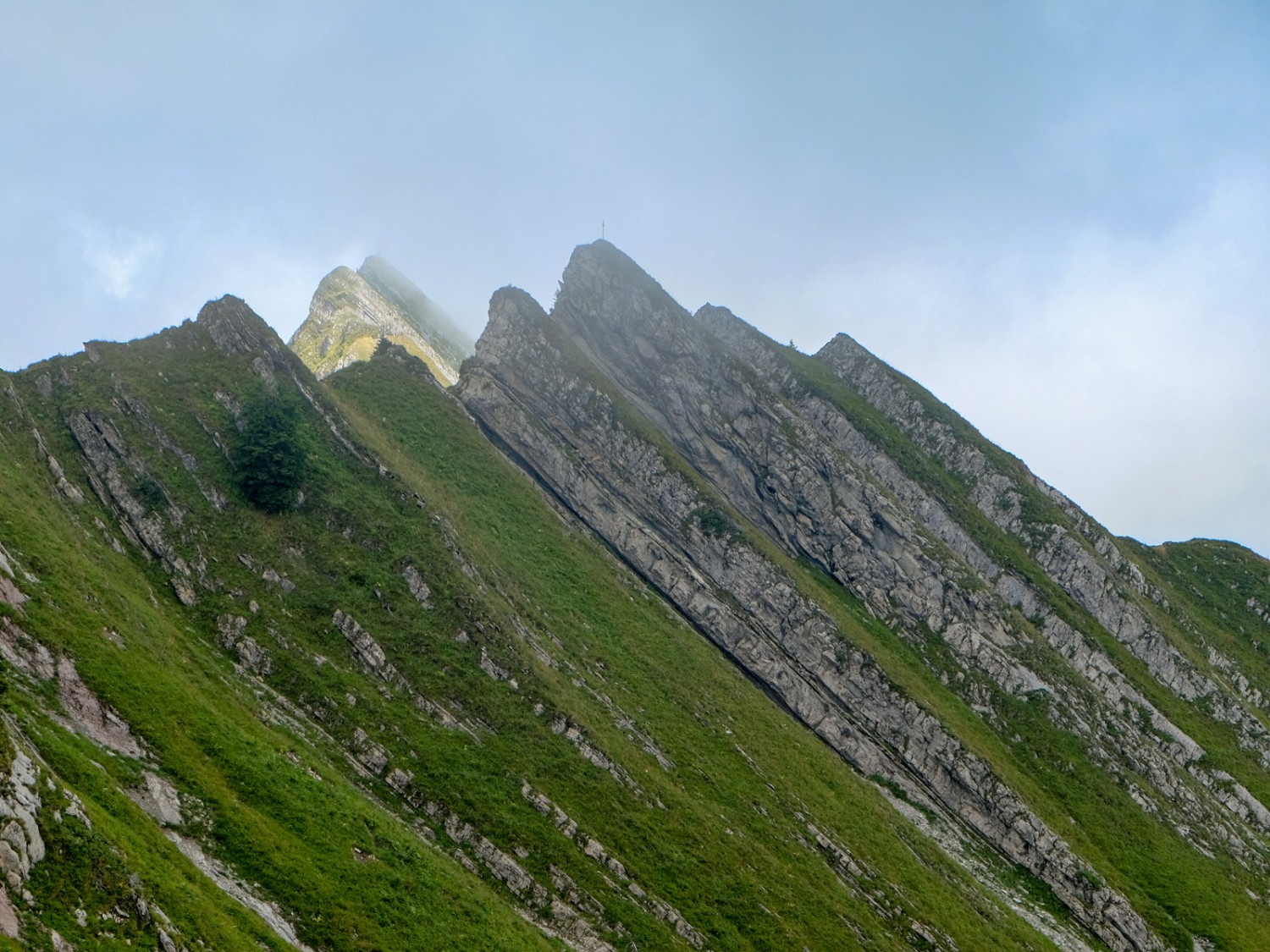 Die Freiburger Voralpen mit ihrem steilen Zacken. Wer hier über den Grat wandert, muss schwindelfrei und trittsicher sein. Bild: Elsbeth Flüeler
