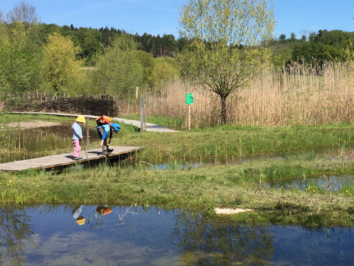 Auch tagsüber ist das Auried idyllisch. Bild: Rémy Kappeler