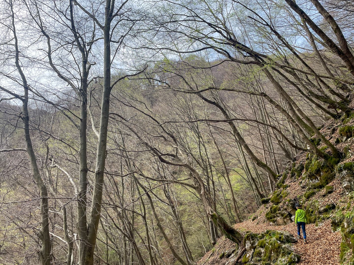 Den Frühling besuchen am Monte Generoso