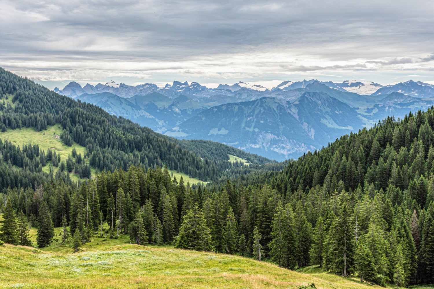 Auch der Obwaldner Höhenweg führt über den Sattelpass. Bild: Franz Ulrich