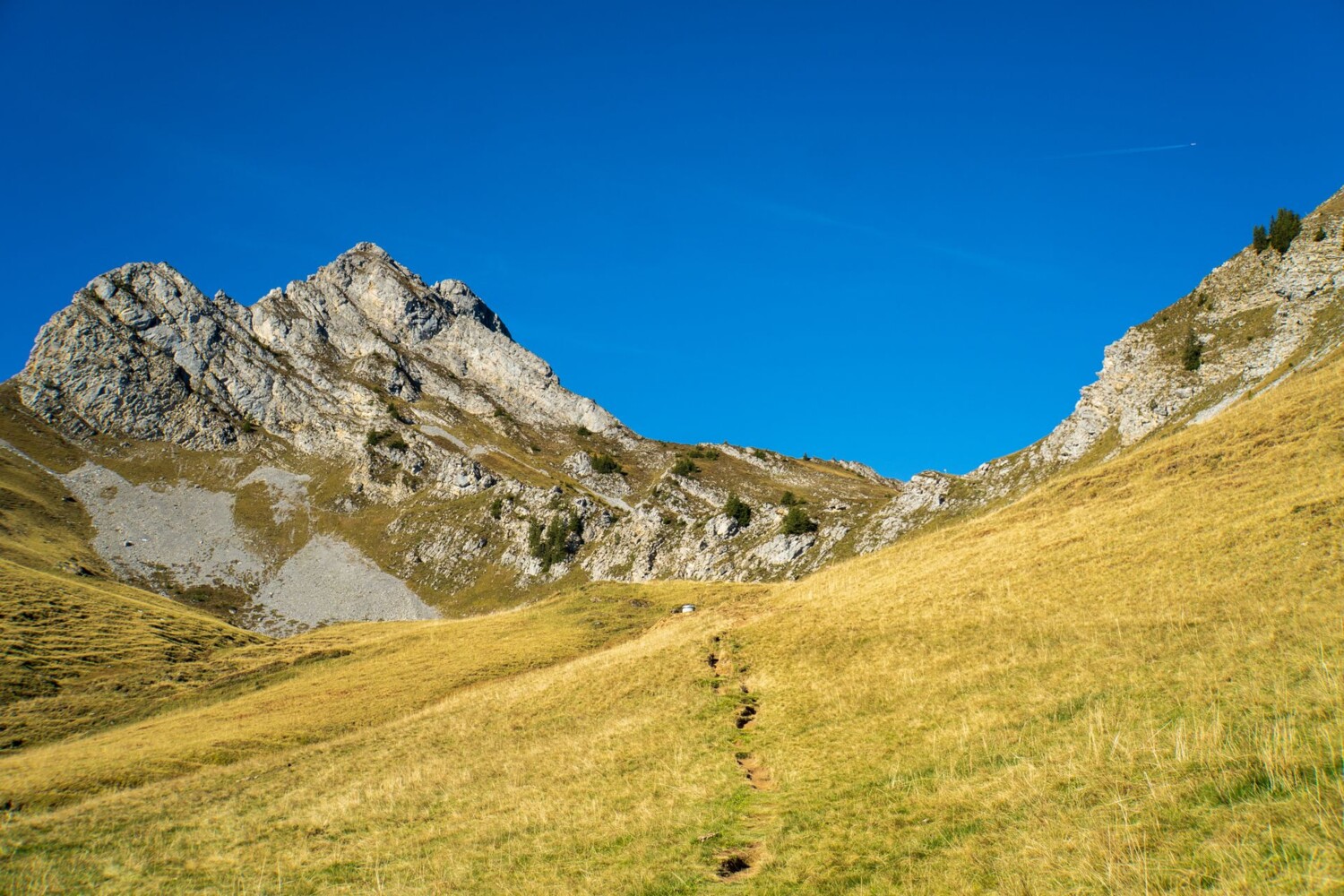 Ein typischer Bergwanderweg führt zum namenlosen Pass zwischen Wiriehore und Tierlaufhore.
