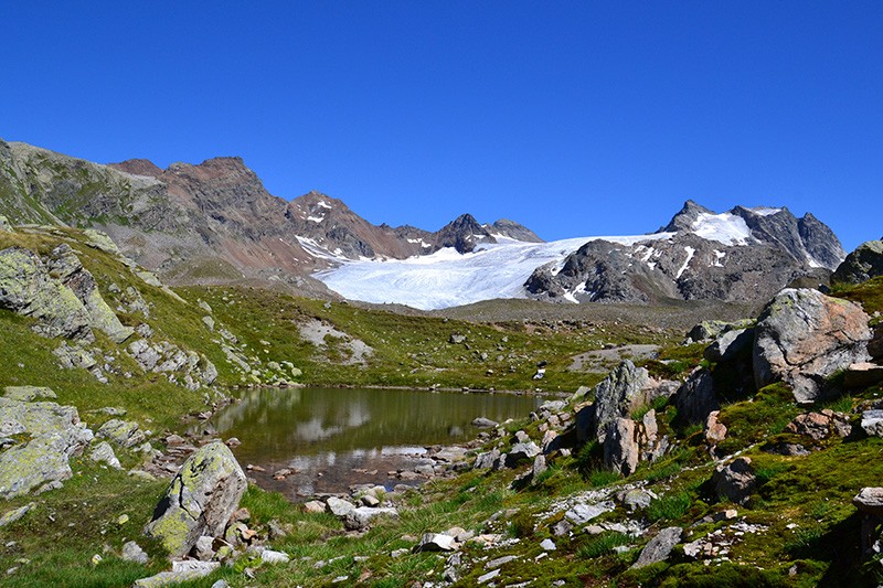 Wo früher Gletschereis war, ist heute ein Lehrpfad angelegt. Bild: Kathrin Ammann