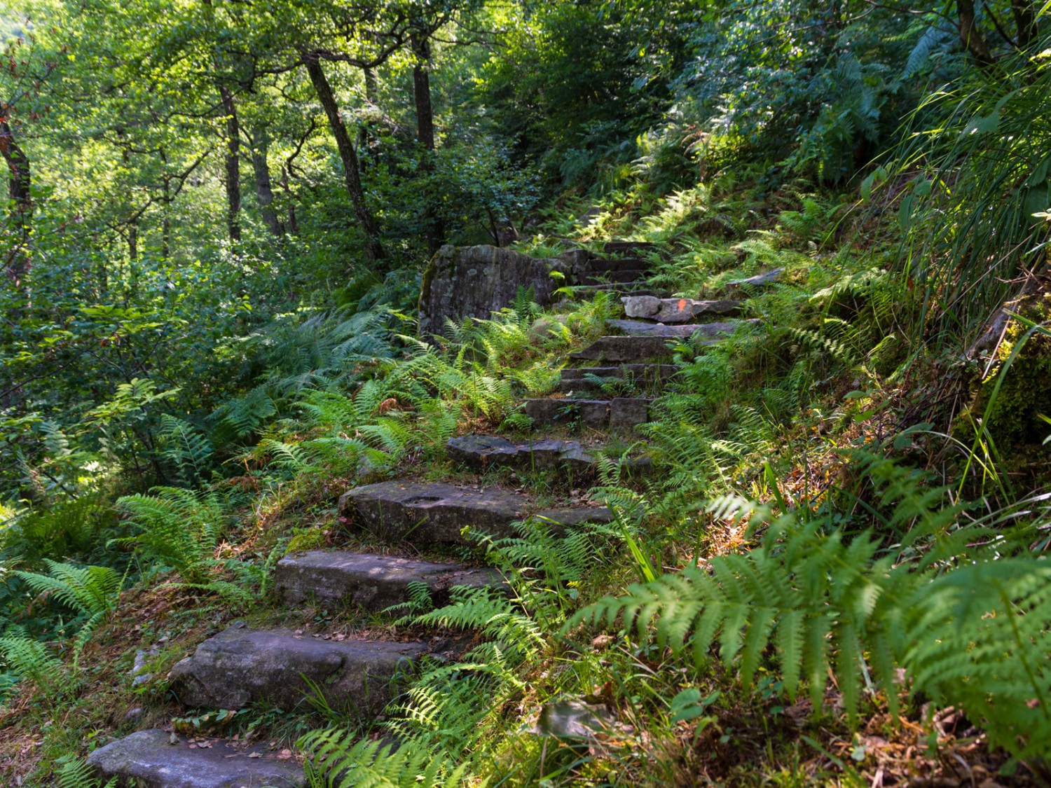 Kastanien, Steintreppen und Rustici