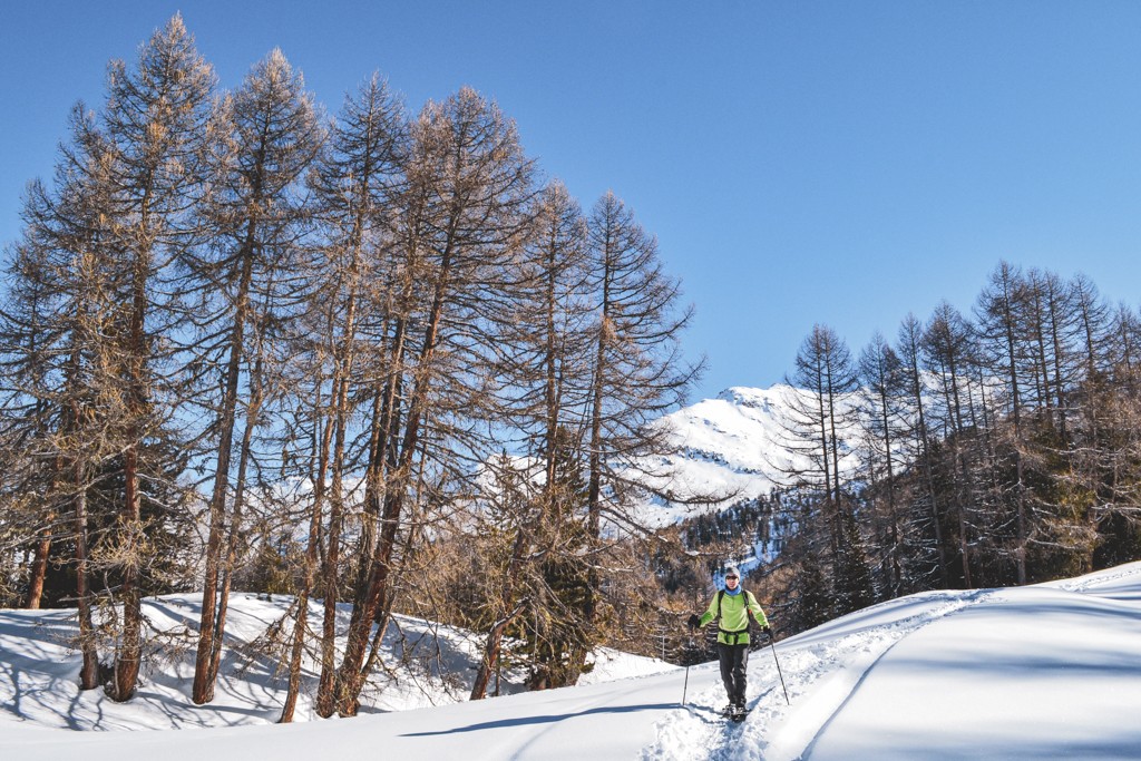 Reizvoller Abschnitt auf dem Waldegga-Trail. Bild: Sabine Joss