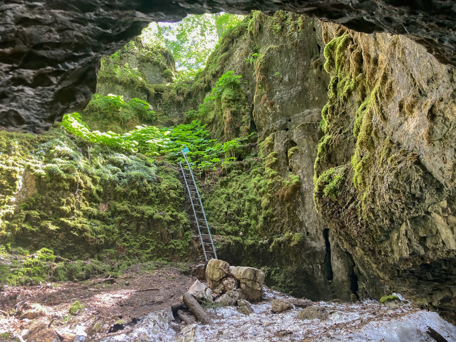 Der Blick aus der Höhle. Über diese Leiter gelangt man zurück auf den Weg. Bild: Anna Kocher