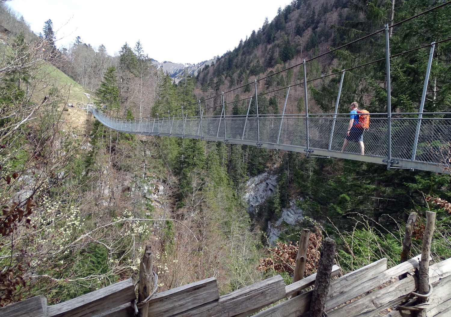 Die Hängebrücke Leiterweide führt schwindelerregend hoch über die Schlucht des Buuschebachs.
