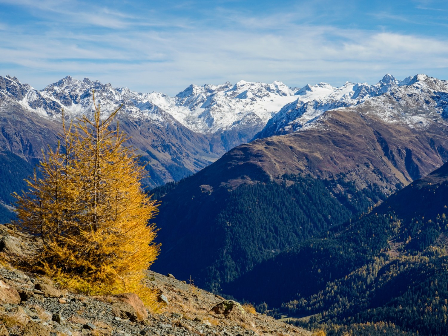 Sicht vom Höhenweg aus ins Silvrettagebiet. Bild: Fredy Joss