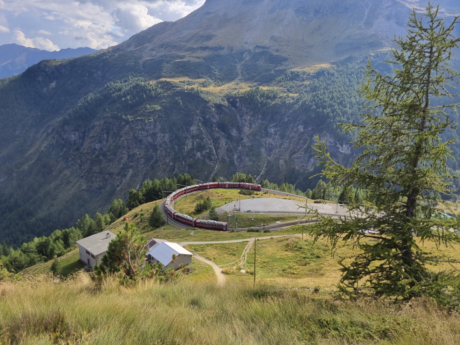 Unterhalb der Alp Grüm macht die Berninalinie eine der vielen Schlaufen. Bild: Nathalie Stöckli