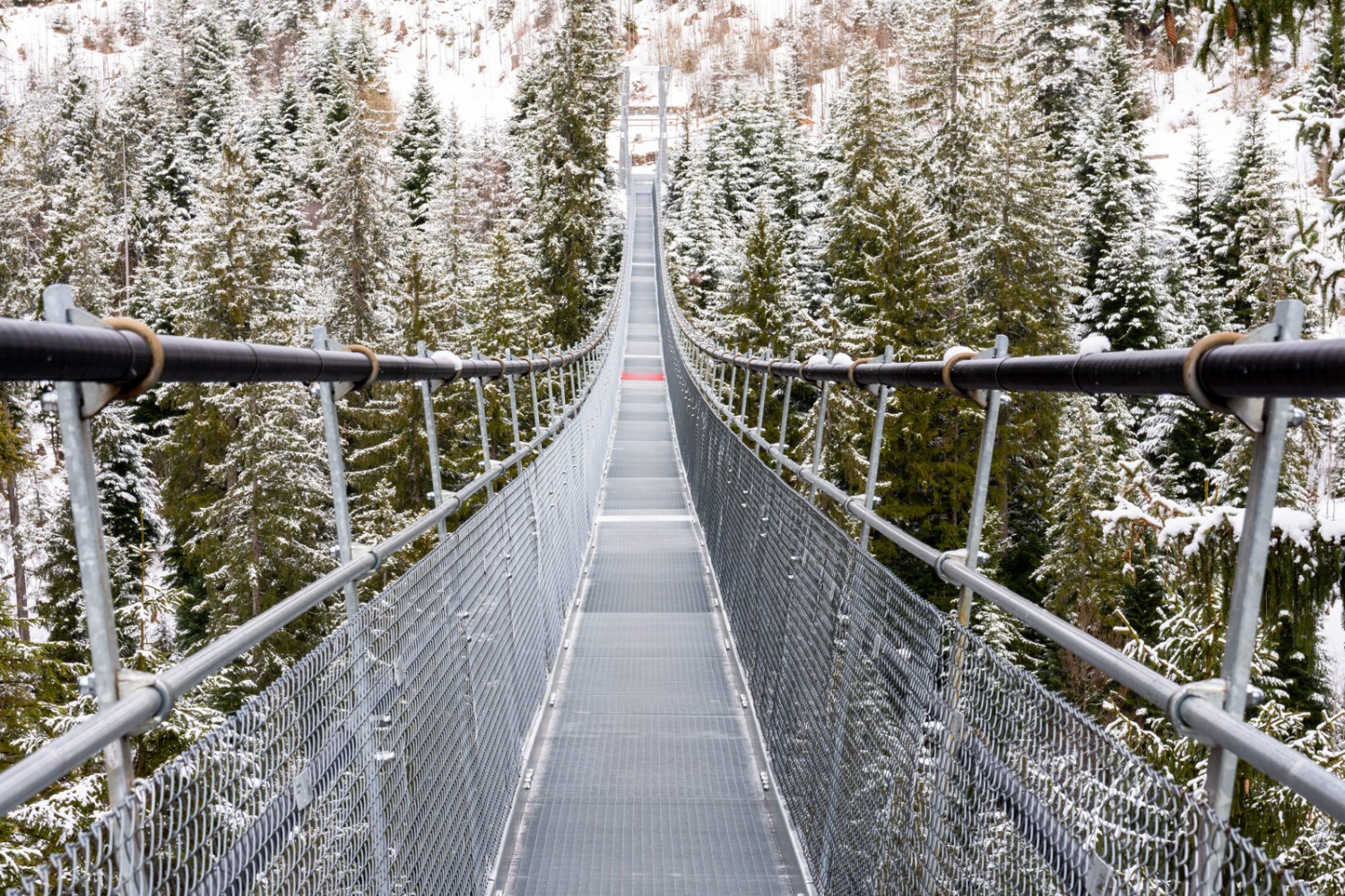 Die 374 m lange Hängebrücke wurde 2010 erstellt. Bild: Franz Ulrich