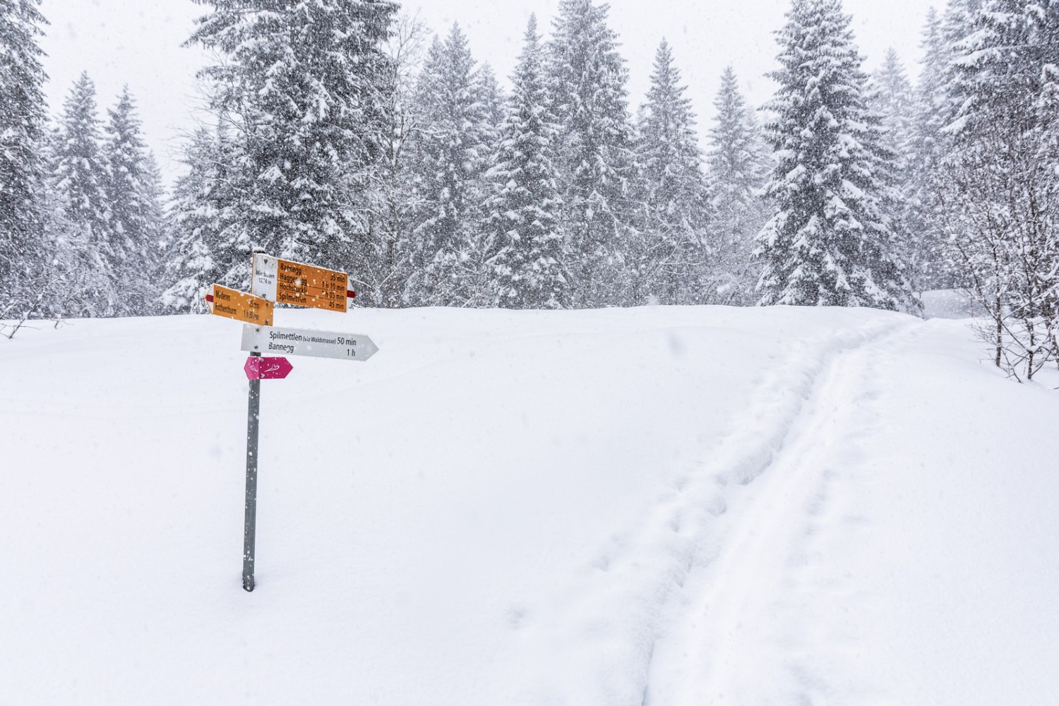 Wegweiser beim Miesboden. Bild: Franz Ulrich