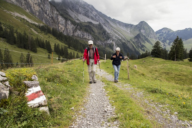 Bei der Alp Plattenschutz führt der Bergwanderweg auf Alpstrassen über Weiden. Bilder: Markus Ruff