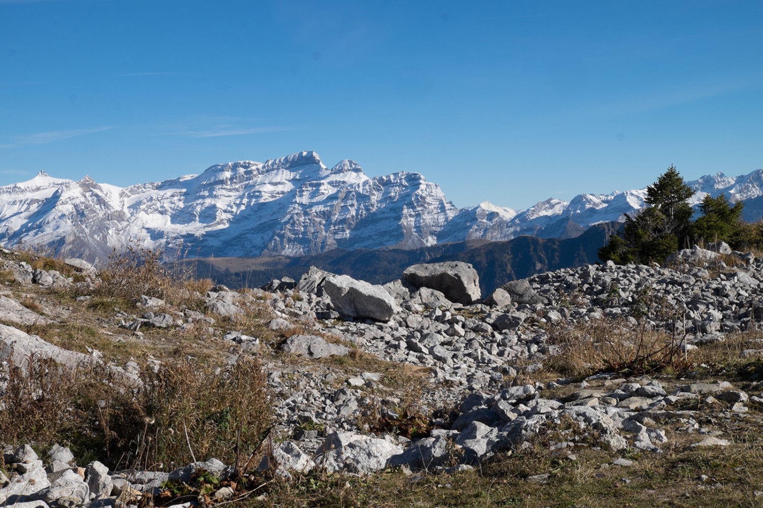 Blick Richtung Oldenhorn und Les Diablerets. Bilder: Sybille Schär