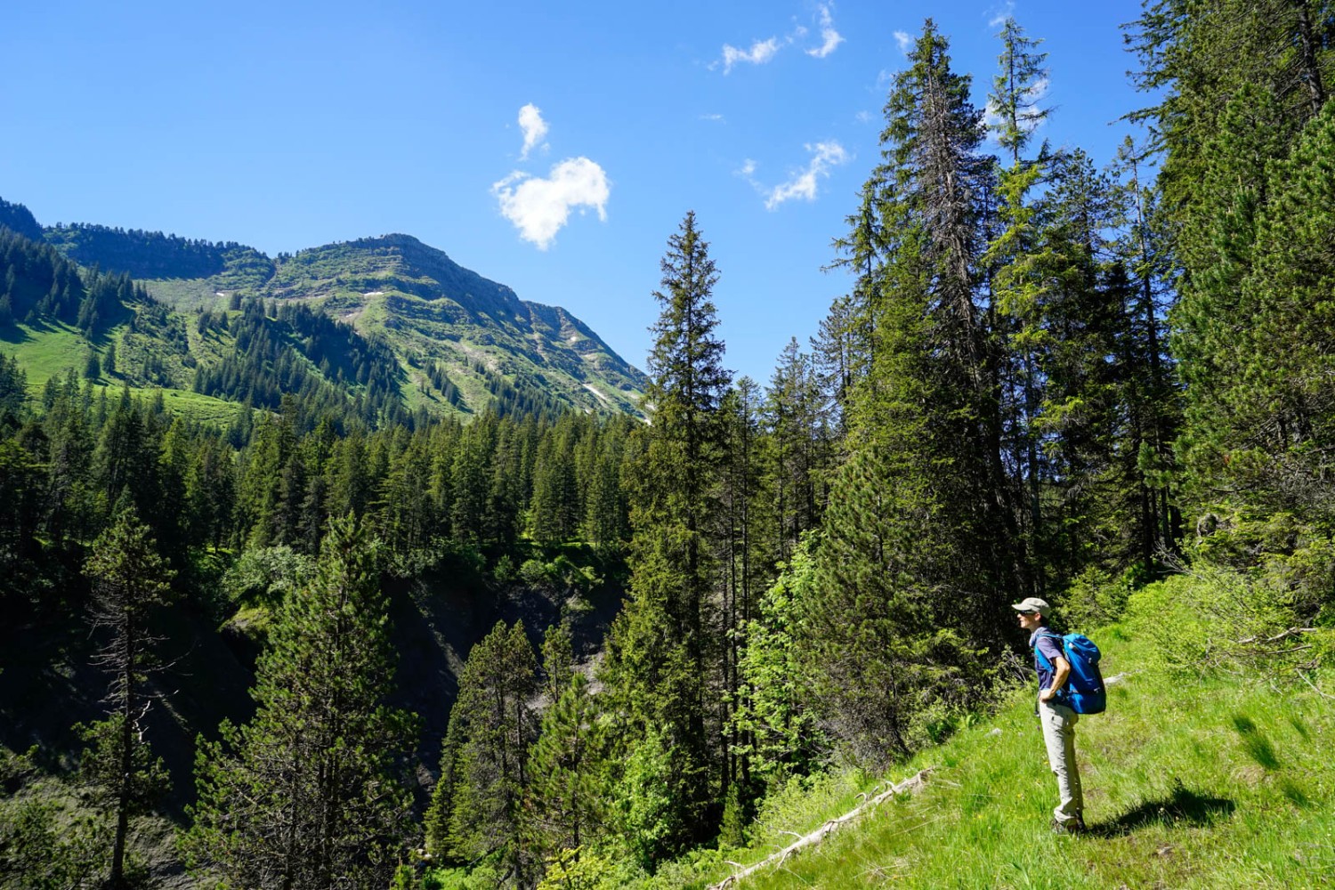 Blick über den Graben der Grossen Entle zum Hohmad. Bild: Fredy Joss