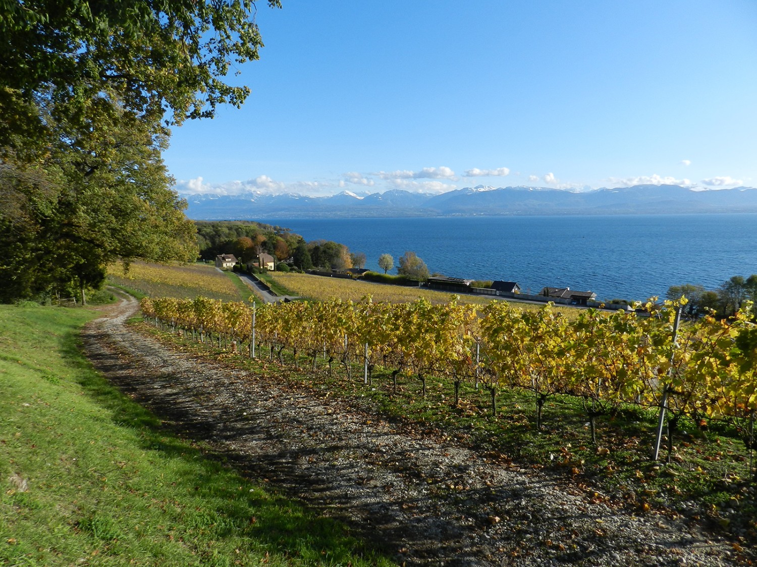 Herbstlicher Blick auf den Genfersee und die Alpen.