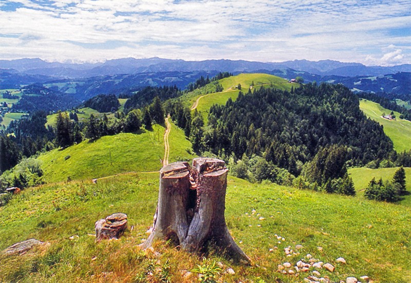 Eines der vielen Plätzchen, die zu einer aussichtsreichen Rast einladen. Bilder: Franz Auf der Maur