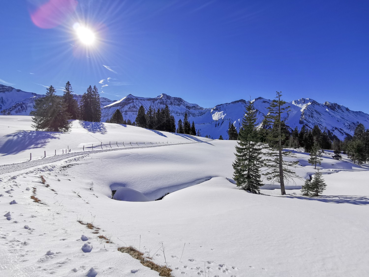 À Totmoos. Au fond, la chaîne du Rothorn de Brienz. Photo: Andreas Staeger